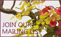 Join our mailing list